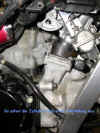 Daum_13.jpg (98441 Byte)