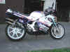 Daum_2.jpg (117551 Byte)